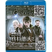 《神奇动物在哪里2：格林德沃之罪》4K UHD DolbyVision BD50裸碟