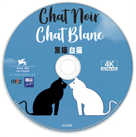 《黑猫白猫》4K UHD DolbyVision BD50裸碟 1998 库斯图里卡的猫 南斯拉夫 法国
