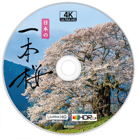 《一本桜 樱花》4K UHD BD50裸碟 2021 HDR10+ IPPON_SAKURA 日本 不支持PS5